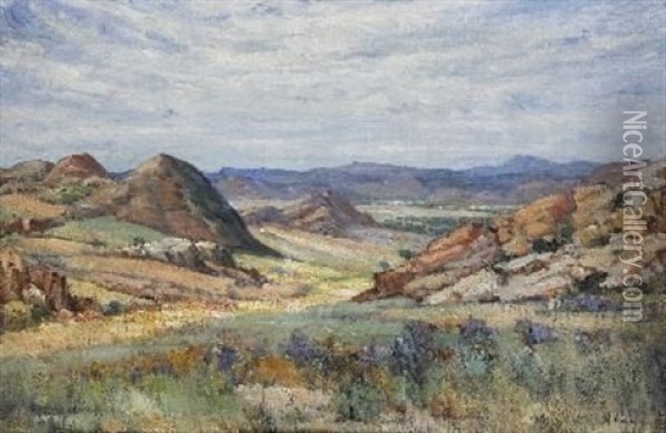 Namaqualand Landscape Oil Painting - Pieter Hugo Naude