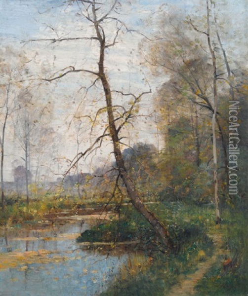 Auenlandschaft Im Fruhling Oil Painting - Louis Aime Japy