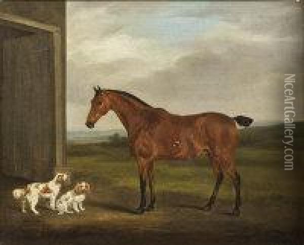 Study Of A Horse With King Charles Spaniels Oil Painting - William Henry Davis