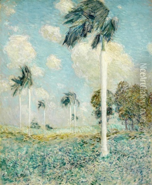 Royal Palms, Melena, Cuba Oil Painting - Childe Hassam
