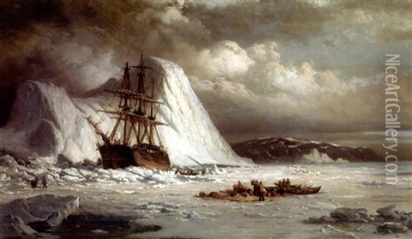 Icebound Ship Oil Painting - William Bradford