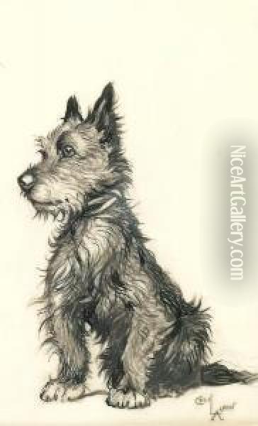 A Cairn Terrier Oil Painting - Cecil Charles Aldin