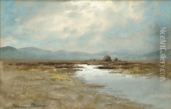 Moorlandstream Oil Painting - William Percy French