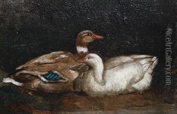 A Pair Of Ducks Oil Painting - William Grant Stevenson