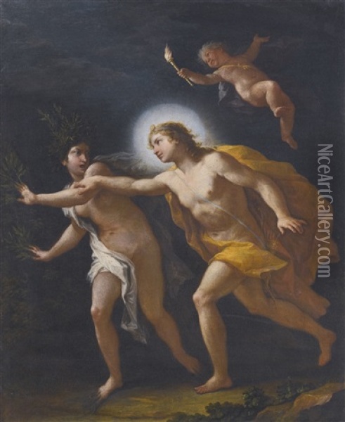 Apollo And Daphne Oil Painting - Paolo de Matteis