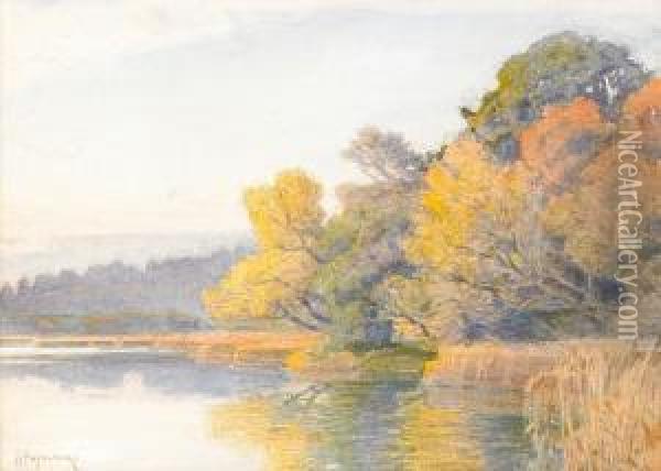 Late Summer Landscape With A Lake Oil Painting - Feodor Petrovich Riznischenko