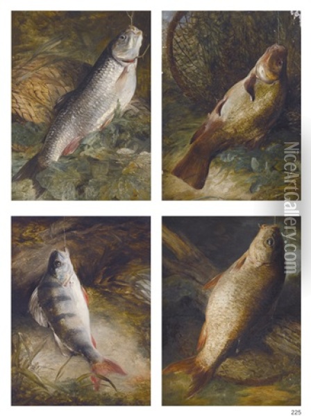 Four Studies Of English Freshwater Fish: Chub, Tench, Perch And Carp Oil Painting - Frederick Richard Lee