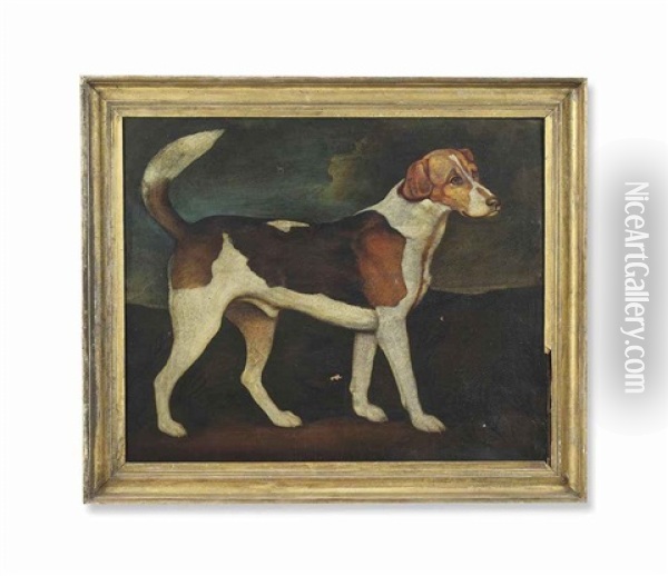 Ringwood, A Brocklesby Foxhound Oil Painting - George Stubbs