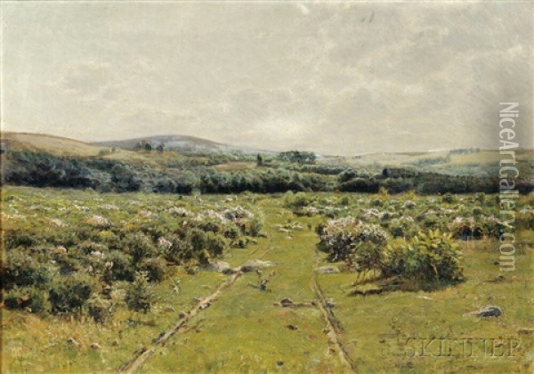 Summer Landscape With Field And Paths Oil Painting - Edward Parker Hayden