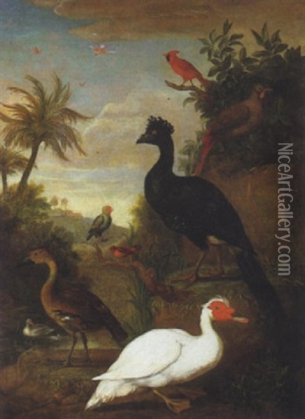 A Muscovy Duck, Curassow, Cardinal And Other Birds In A Landscape Oil Painting - Jakob Bogdani