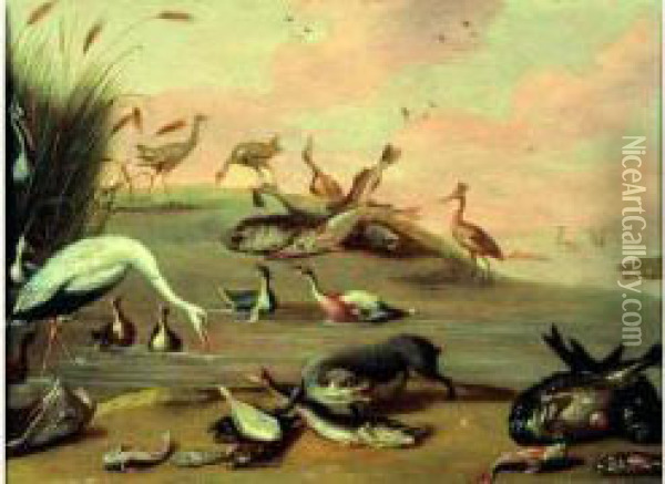 Poissons Et Oiseaux Sur Un Rivage Oil Painting - Jacob Bouttats