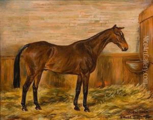 Sleive Grien - Winner Of The Military Goldcup Oil Painting - W. Wasdell Trickett