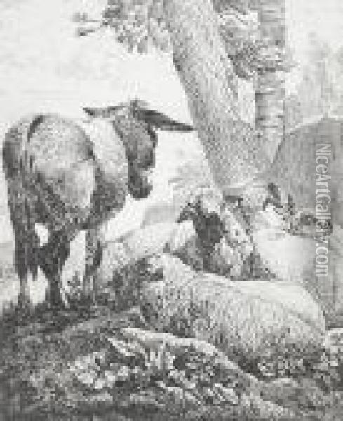 Esel Und Ruhende Schafe Oil Painting - Johan Heinrich Roos