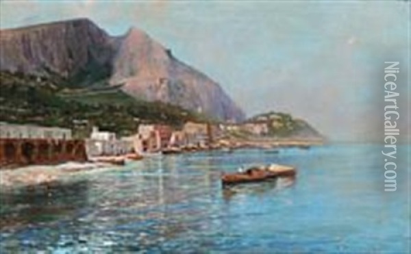 Coastal Scene From Marina Grande In Capri Oil Painting - Holger Hvitfeldt Jerichau