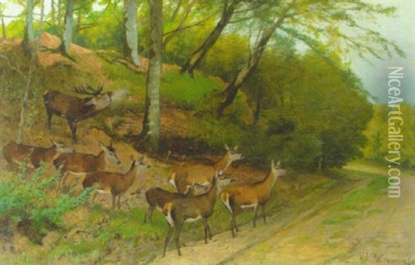 Hirsch Und Hirschkuhe An Einem Waldweg Oil Painting - Christian (Johann Christian) Kroener