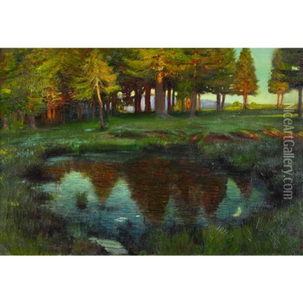 Petit Lac Dans La Foret Oil Painting - Charles L'Eplattenier
