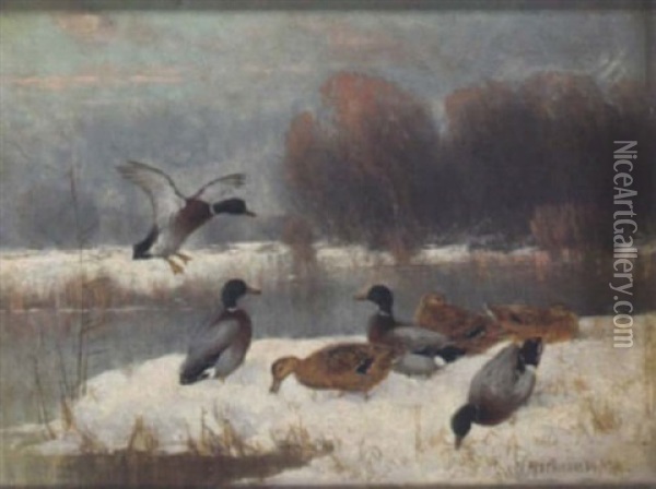 Wildenten Am Verschneiten Seeufer Oil Painting - Julius Scheuerer