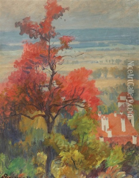Landscape From Provance Oil Painting - Stefan Popescu