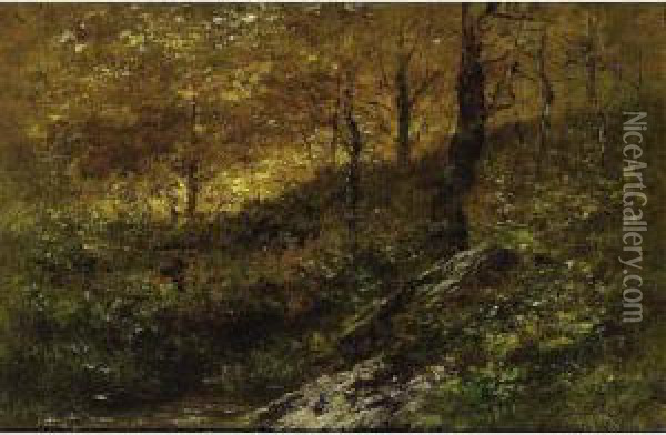 An Autumn Forest Oil Painting - Xavier De Cock