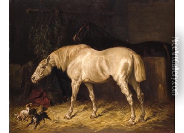 Zwei Pferde Im Stall Oil Painting - Gustav Colsoulle