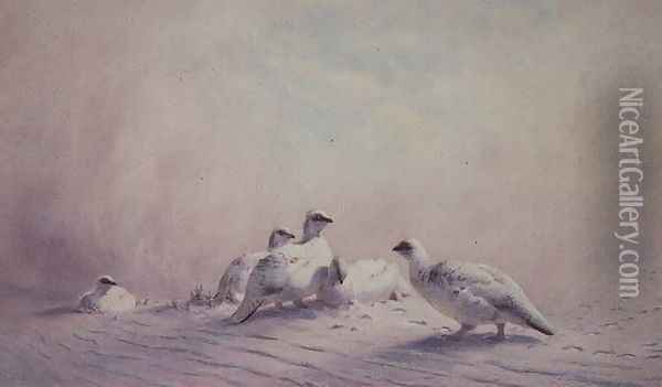 Ptarmigan, Winter, 1873 Oil Painting - Joseph Wolf