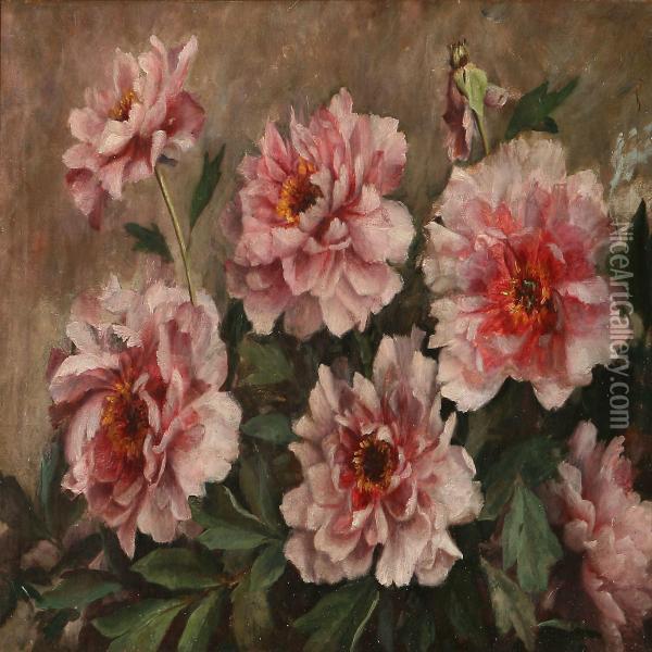Pink Penoies Oil Painting - Augusta Dohlmann