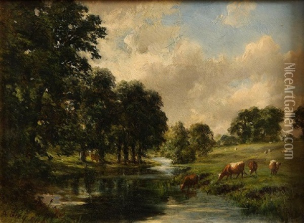 Cattle Grazing By The Stream Oil Painting - Alfred Grey
