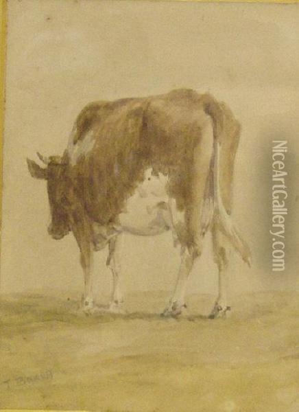 A Cow Oil Painting - Thomas Baker Of Leamington