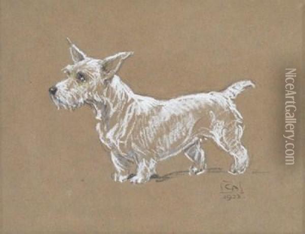 A Sealyham Terrier Oil Painting - Cecil Charles Aldin