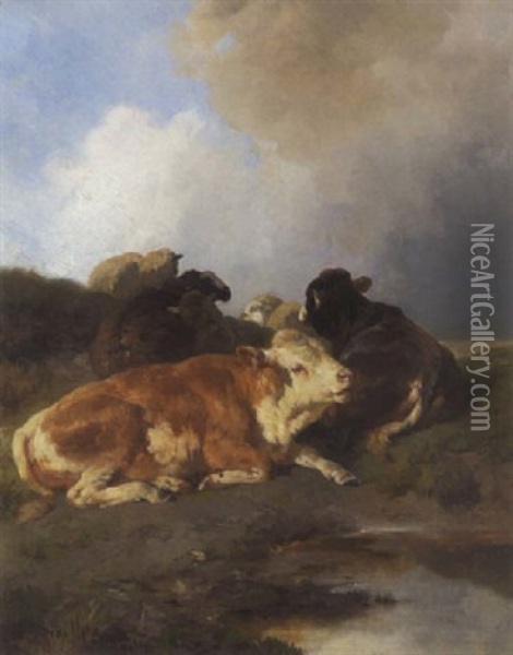 Kuhe Und Schafe Oil Painting - Anton Braith