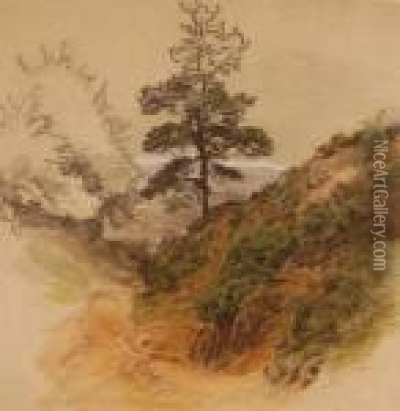 Tree In The Landscape Oil Painting - Henry Bright