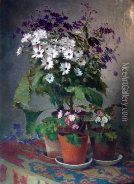 Les Pots D'aster Et Geraniums Oil Painting - Theodore Gerard