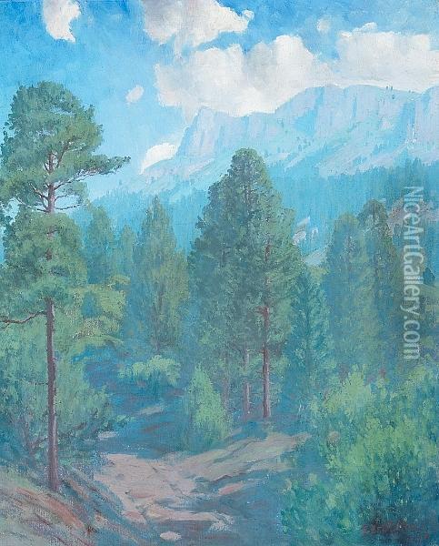 High Country Oil Painting - Carl Redin