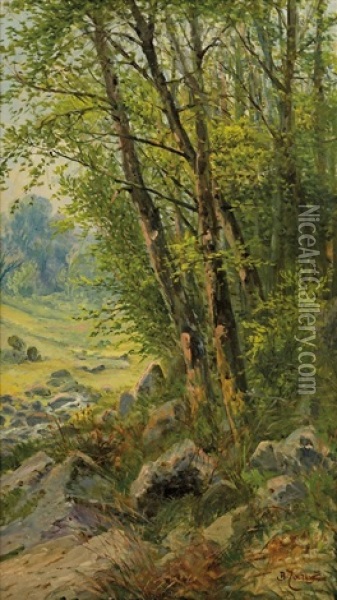 Na Kraji Lesa Oil Painting - Bohumil Jaros