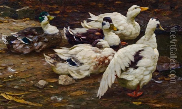 Ruhende Enten, Eine Den Flugel Streckend Oil Painting - Alexander Max Koester