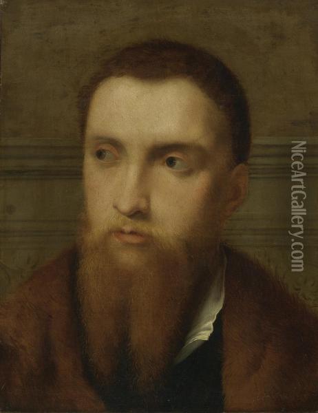 Portrait Of A Bearded Man, Head And Shoulders, In An Interior Oil Painting - Paris Bordone