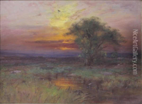 Painting Oil Painting - Albion Harris Bicknell