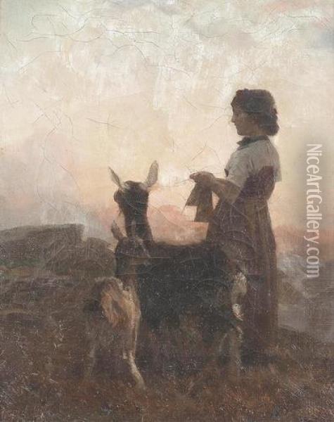 Junge Hirtin Mit Zwei Lamas In Der Abendsonne. Oil Painting - Charles Giron