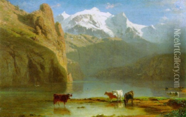 Kuhe Am Bergsee Oil Painting - Albert De Meuron
