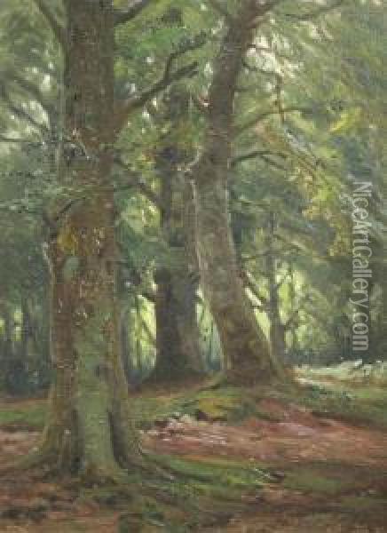 Woodland Scene And Hampshire Heathland Oil Painting - Frederik Golden Short