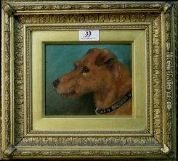Portrait Of A Rough Haired Terrier's Head Oil Painting - George Earl
