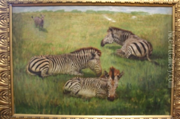 Les Zebres Oil Painting - Wilhelm Friedrich Kuhnert