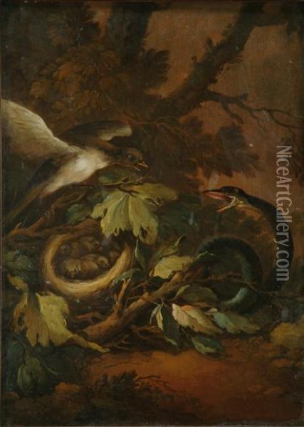 A Bird Defending Hernest Against A Snake Oil Painting - George Stubbs