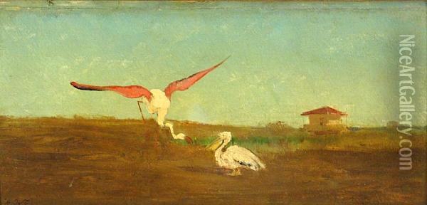A Flamingo And A Pelican Oil Painting - Charles Emile Vacher De Tournemine