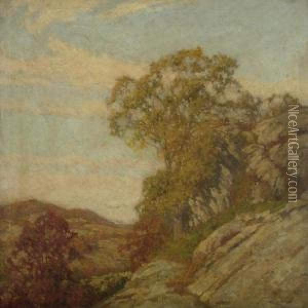 Mountain Landscape In The Fall Oil Painting - Frederick John Mulhaupt