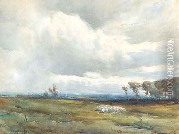 A shepherd tending his flock before an approaching storm Oil Painting - David West