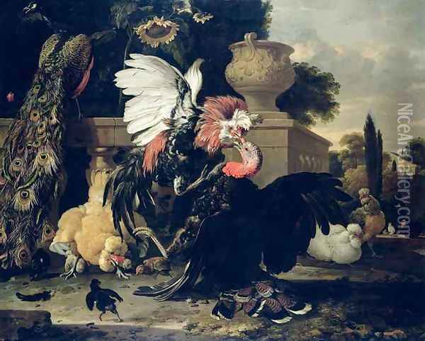 Fight between a Rooster and a Turkey Oil Painting - Melchior de Hondecoeter