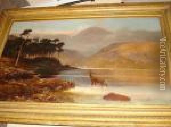 Loch Scene With Stag In The Foreground Oil Painting - Clarence Roe
