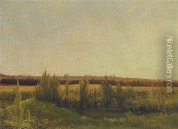 Marklandskab, Sommer Oil Painting - Vilhelm Peter Karl Kyhn