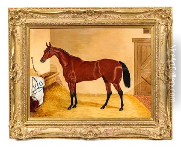 Racehorse, 1891 Oil Painting - Colin Graeme